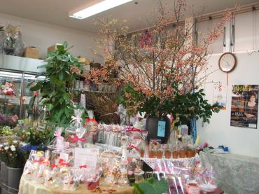 模様替え｜「双葉園」　（山口県岩国市の花キューピット加盟店 花屋）のブログ