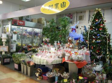 クリスマスへ☆｜「双葉園」　（山口県岩国市の花キューピット加盟店 花屋）のブログ