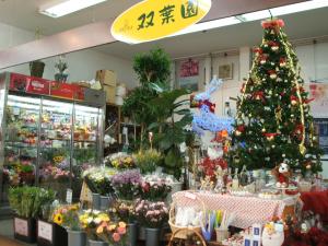 ☆クリスマスモード☆｜「双葉園」　（山口県岩国市の花キューピット加盟店 花屋）のブログ