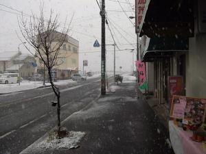 大雪！！！｜「双葉園」　（山口県岩国市の花キューピット加盟店 花屋）のブログ