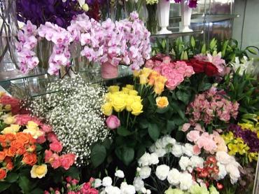 らんらん♪｜「双葉園」　（山口県岩国市の花キューピット加盟店 花屋）のブログ