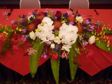パーちー☆★☆｜「双葉園」　（山口県岩国市の花キューピット加盟店 花屋）のブログ